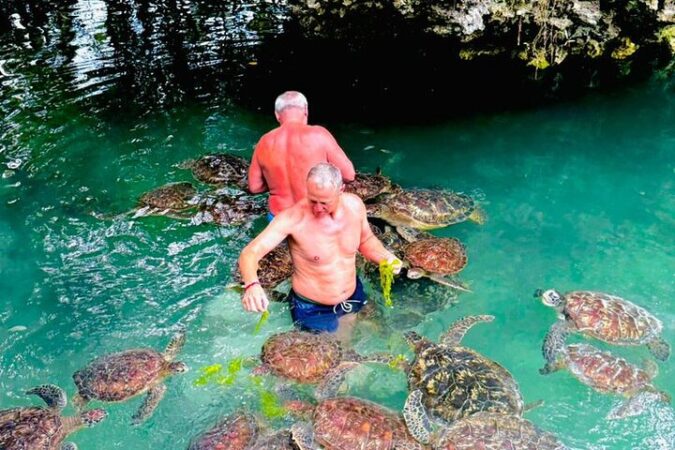 Swim with Turtles Tour Zanzibar