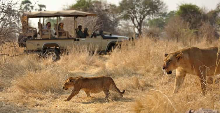 4-Day Affordable Tanzania Safari with Mid-Range Lodges