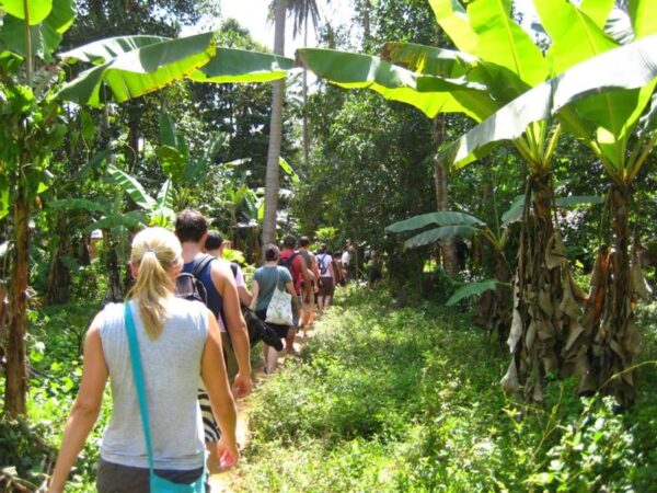 Stone Town Cultural Tour