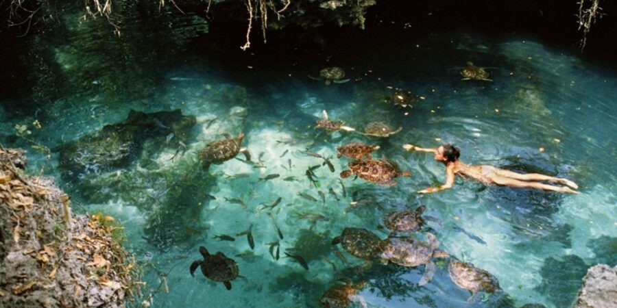 Swim with Turtles Tour Zanzibar