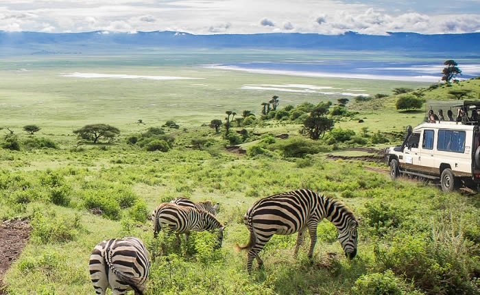 3-Days Tanzania Safari, Tarangire, Ngorongoro, Lake Manyara