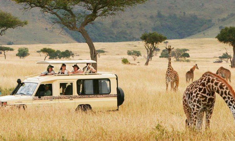 7-Day Tanzania Safari | Go Tanzibar