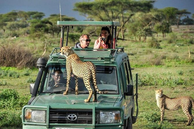 3-Days Tanzania Safari, Tarangire, Ngorongoro, Lake Manyara